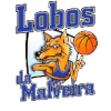 https://img.gayaberita.com/img/basketball/team/64a1437cc54b63817a6955c8b7d00013.png