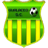 https://img.gayaberita.com/img/football/team/3dfa700c1f084e5a18fc926d6f7ae427.png